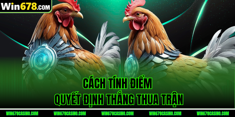 Cách tính điểm quyết định thắng thua đá gà tre c1 Cách tính điểm quyết định thắng thua đá gà tre c1
